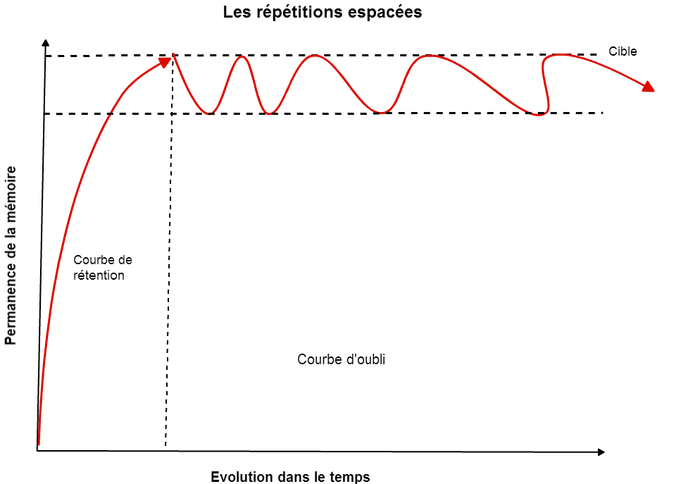 courbe de répétition d'Ebbinghaus pour ancrer les connaissances apprises.