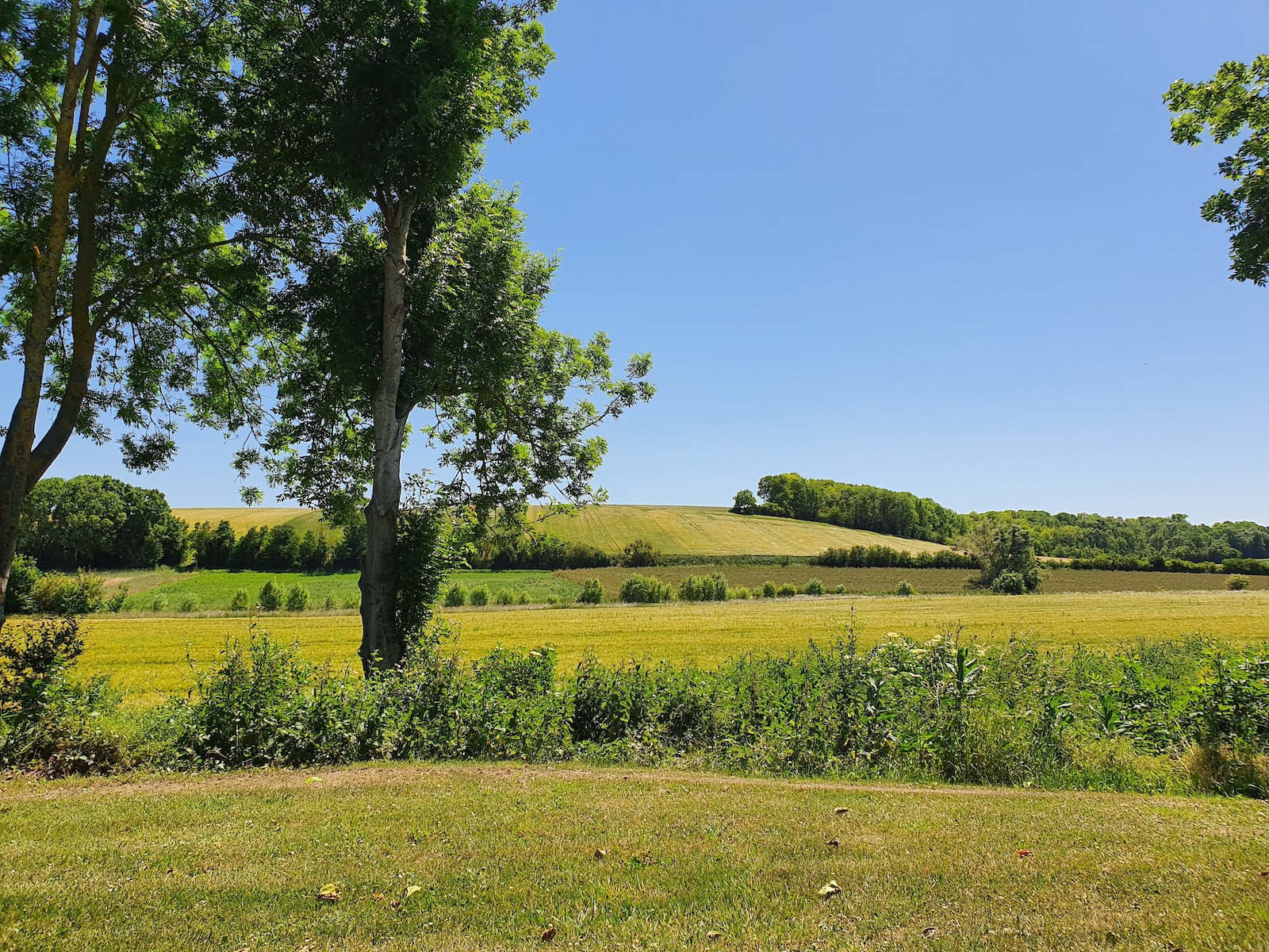 Comment Edzo aide le Crédit Agricole Nord Midi-Pyrénées à automatiser leurs workflows de onboarding ?